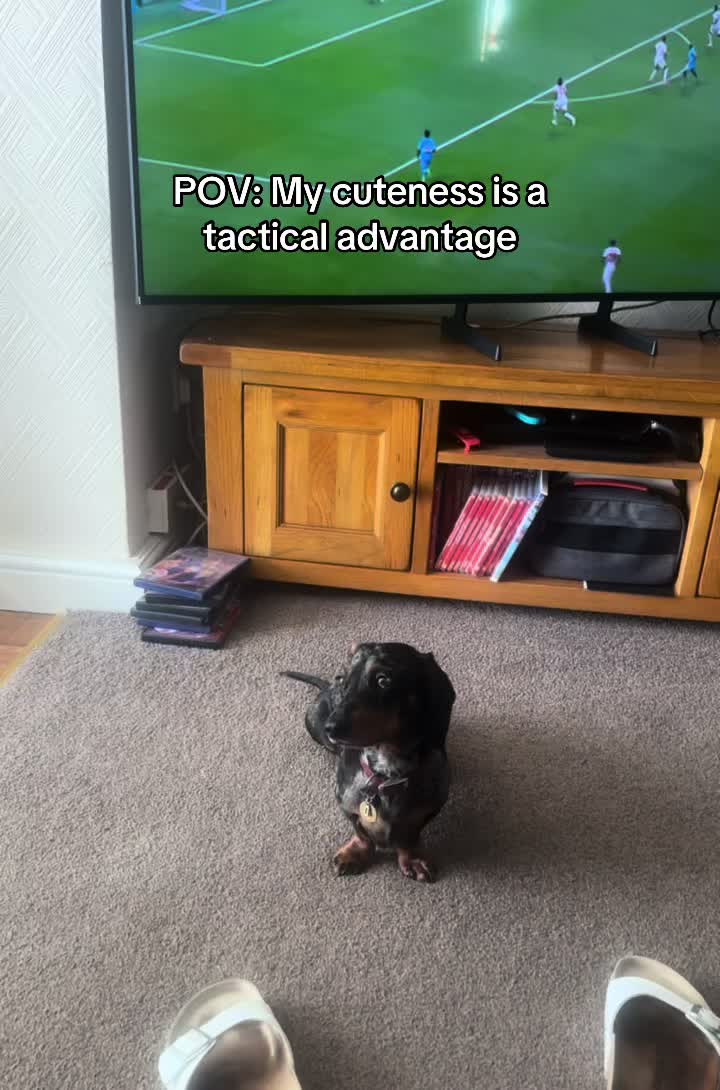 @dibblydobbly_dax