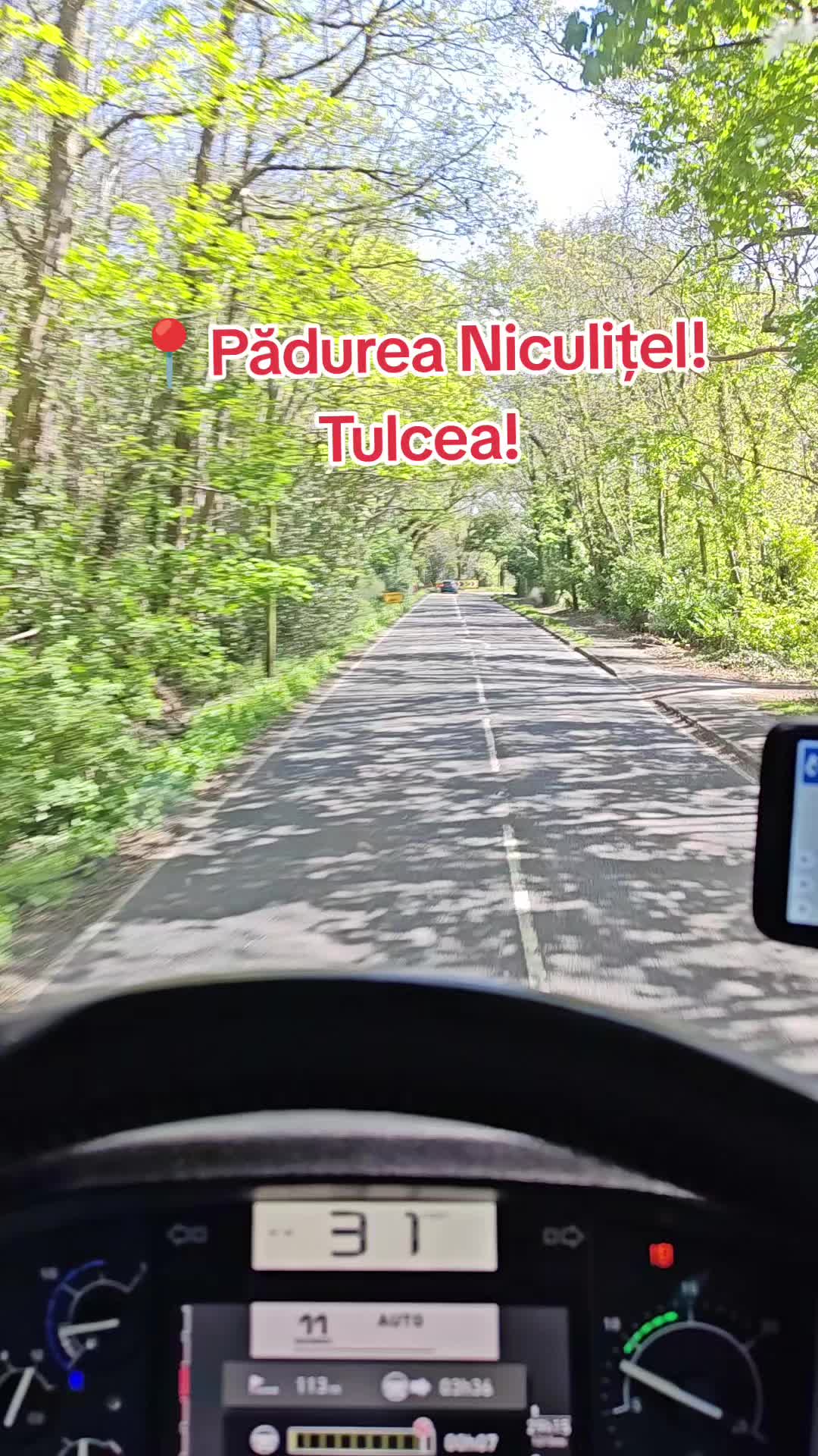 @Chelutu 🌏