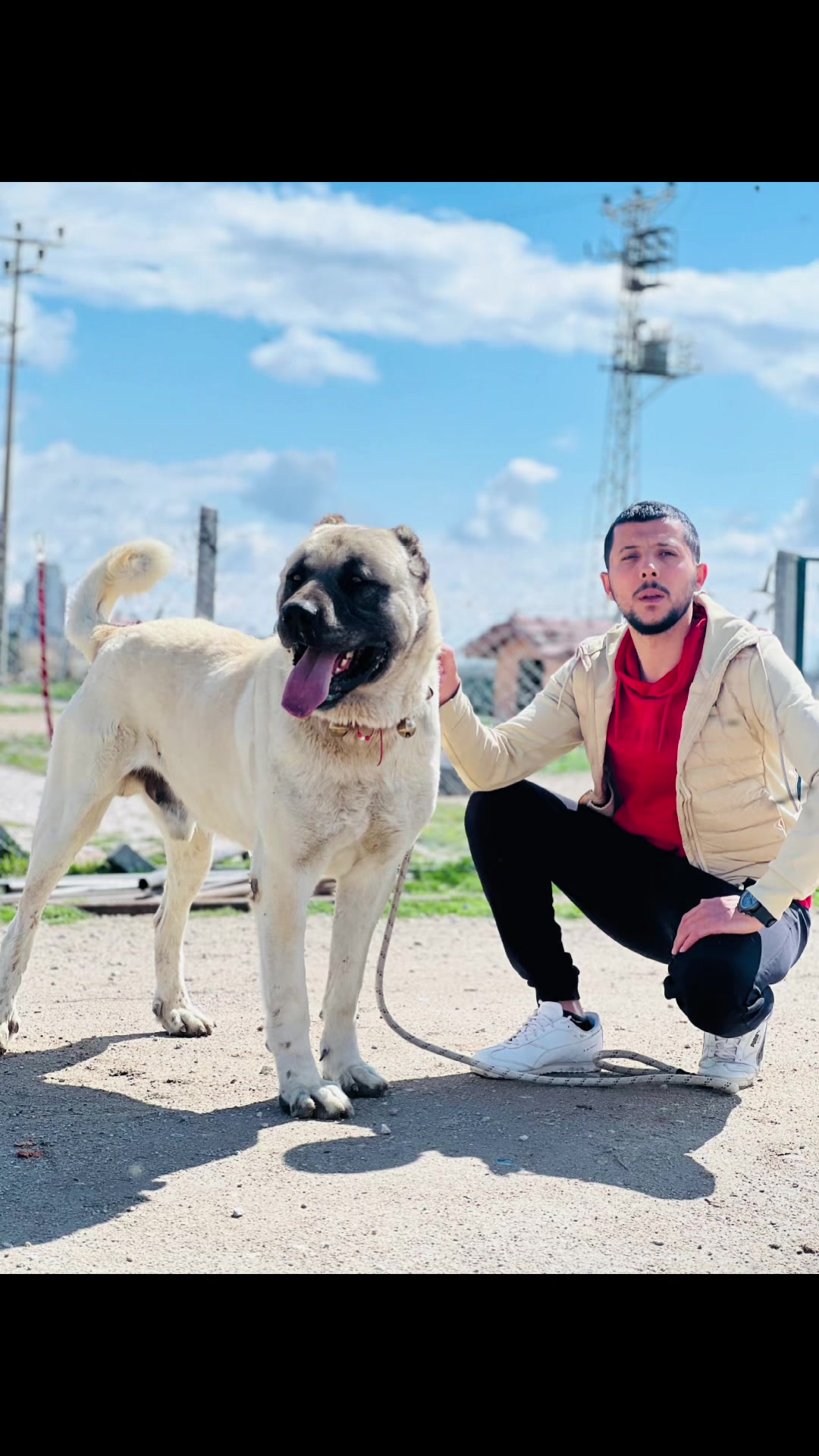 @Konyalı ziya