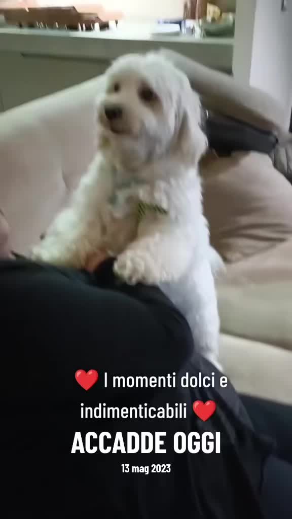 @Tonia E Neve ❤️