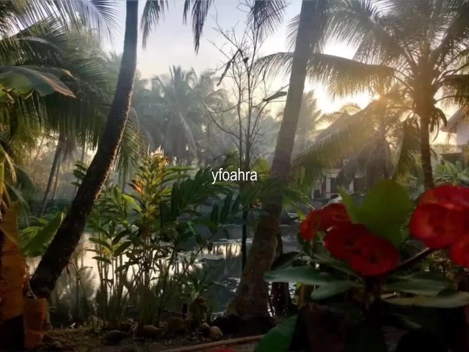 @yfoahra ☯