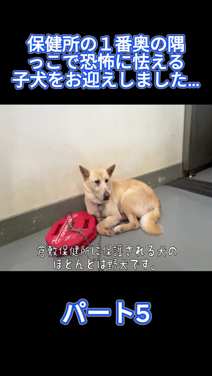 @ブルドッグぶるまるチャンネル Fan
