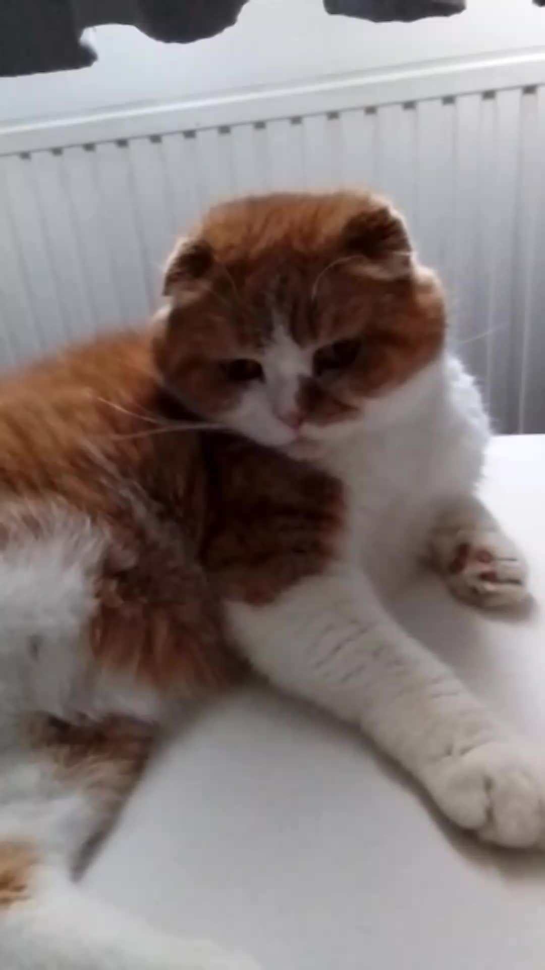 @Anneke & Simba