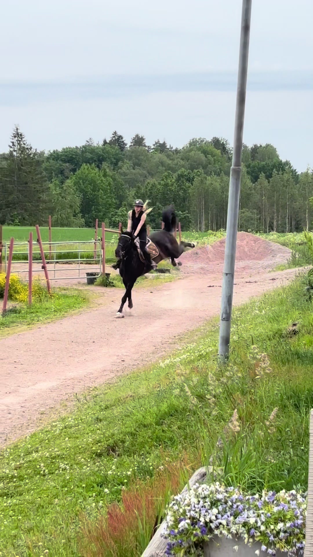 @Minja Hindström
