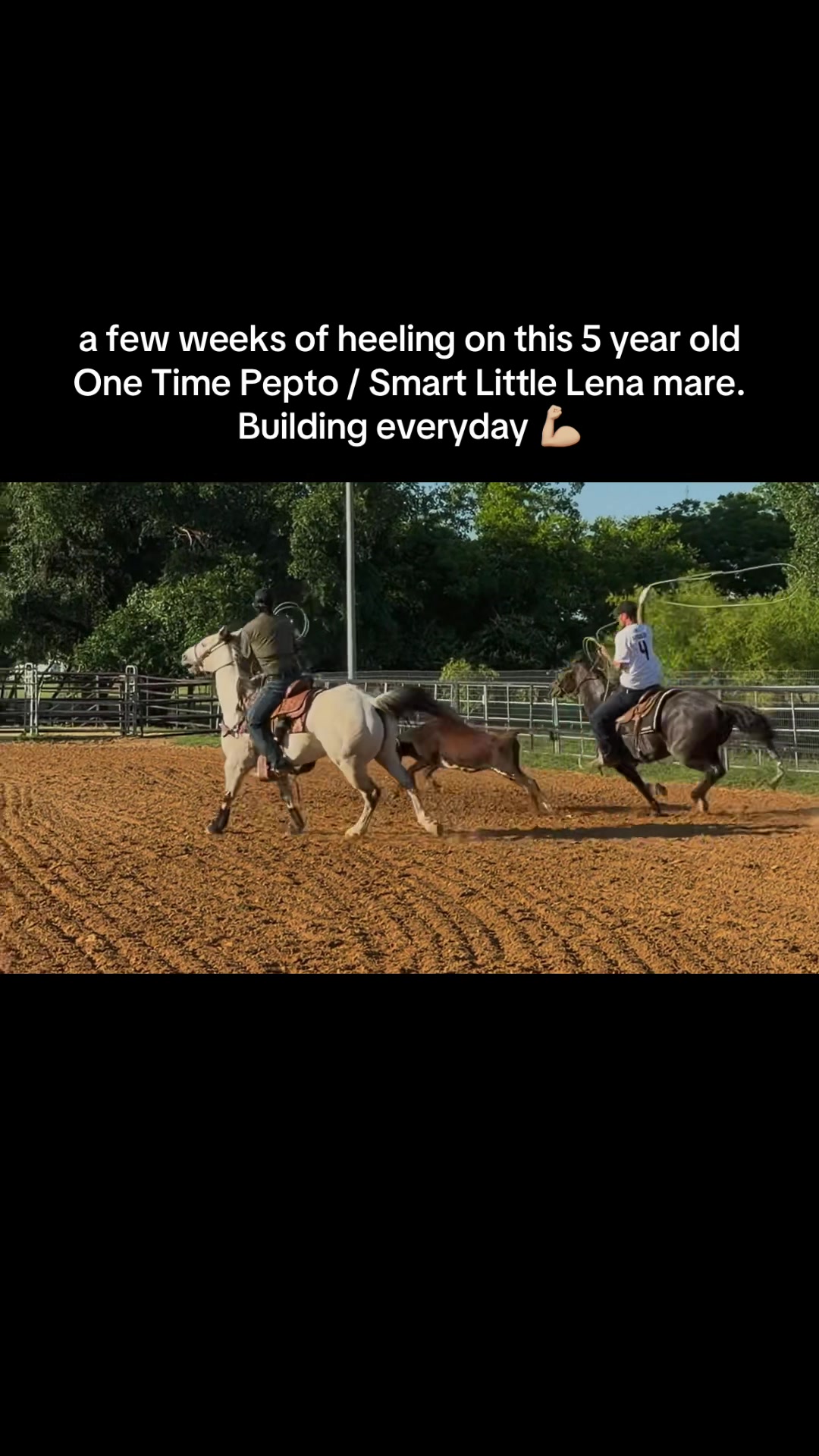 @Austin Apodaca