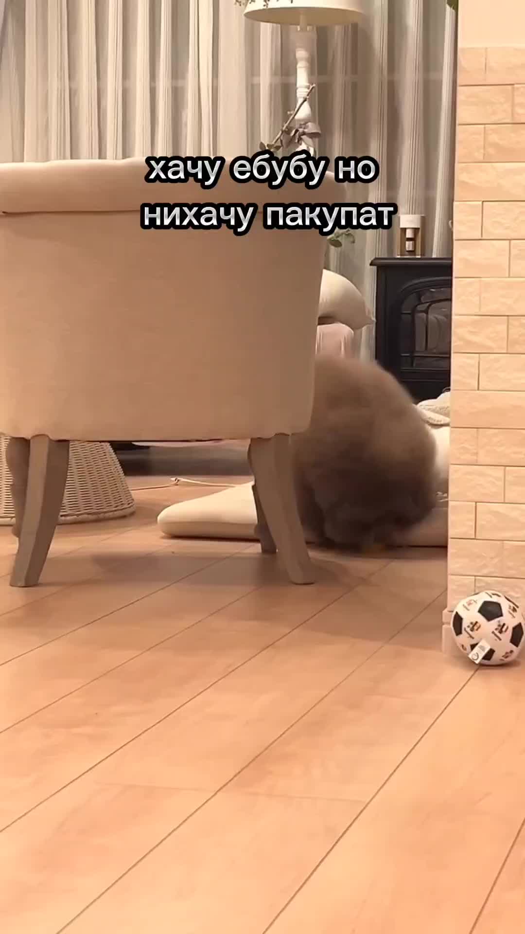 @ипучи
