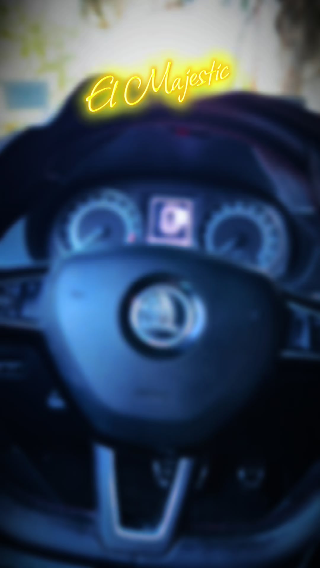 @el_majestic_auto
