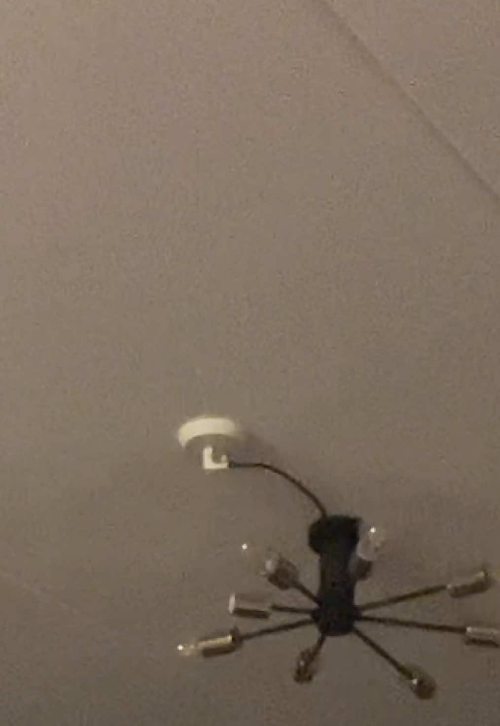 @inte.jag123forsvinn