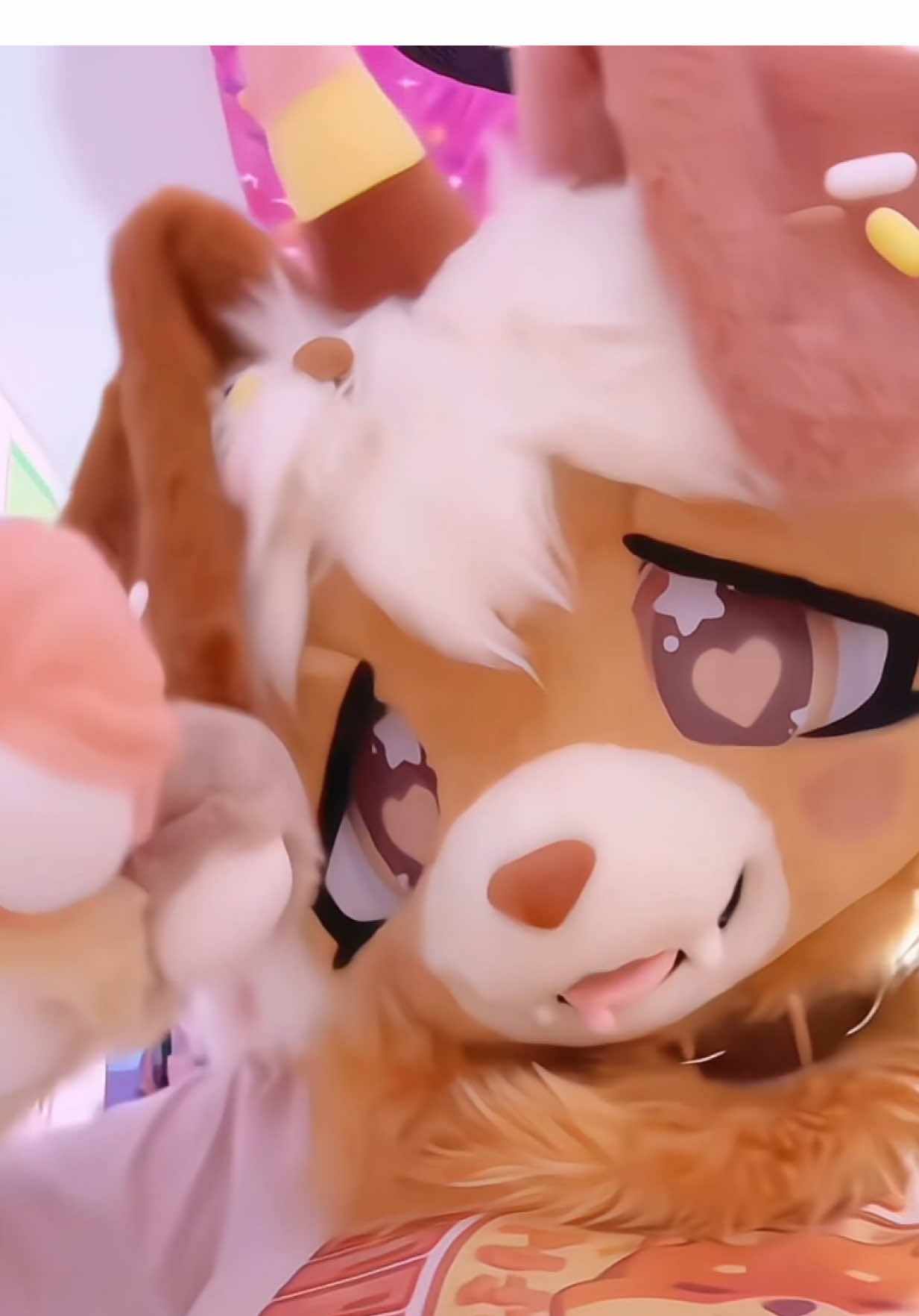 @๐ฆด๐พ๐ฎ๐ shy ๐๐ฎ๐พ๐ฆด