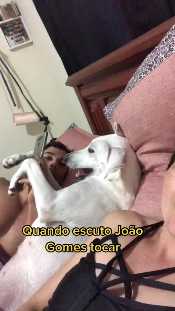 @Mel e zayon