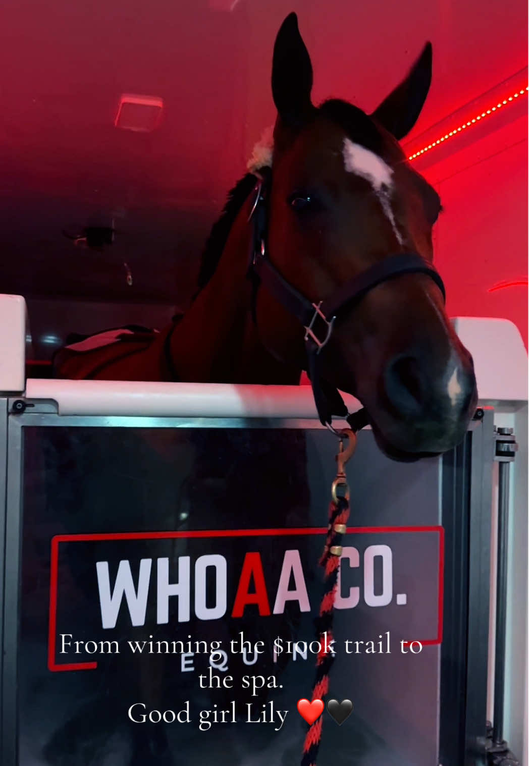 @Whoaa.Co