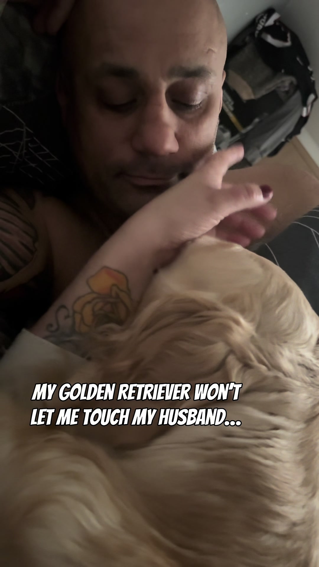 @5 Shades of Golden