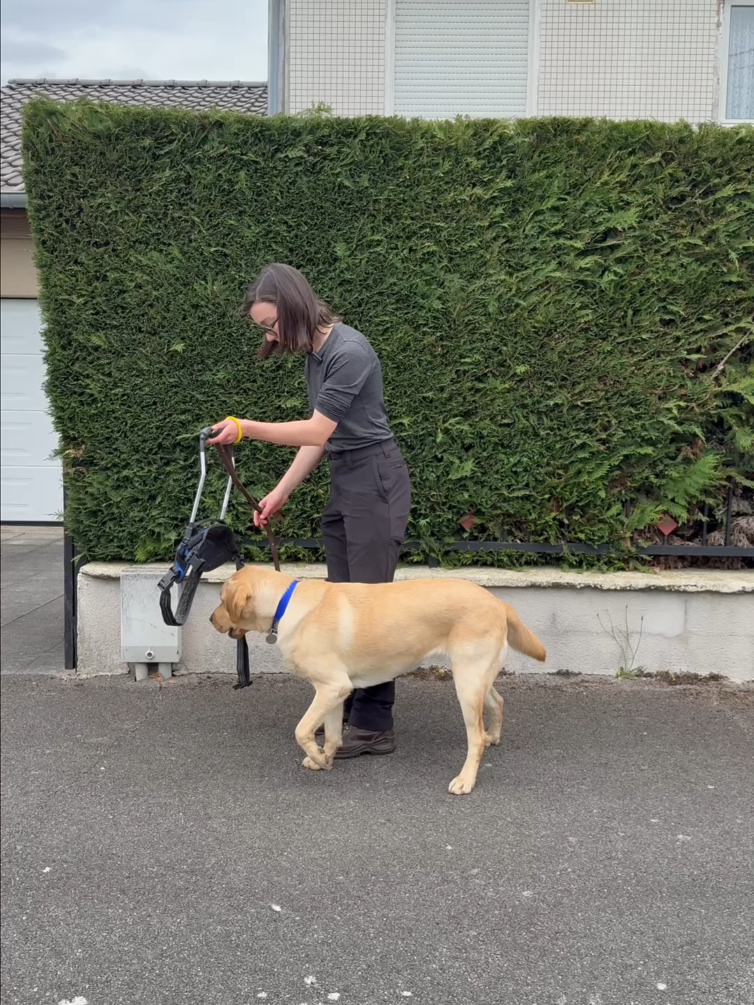 @Chiens Guides de l’Est