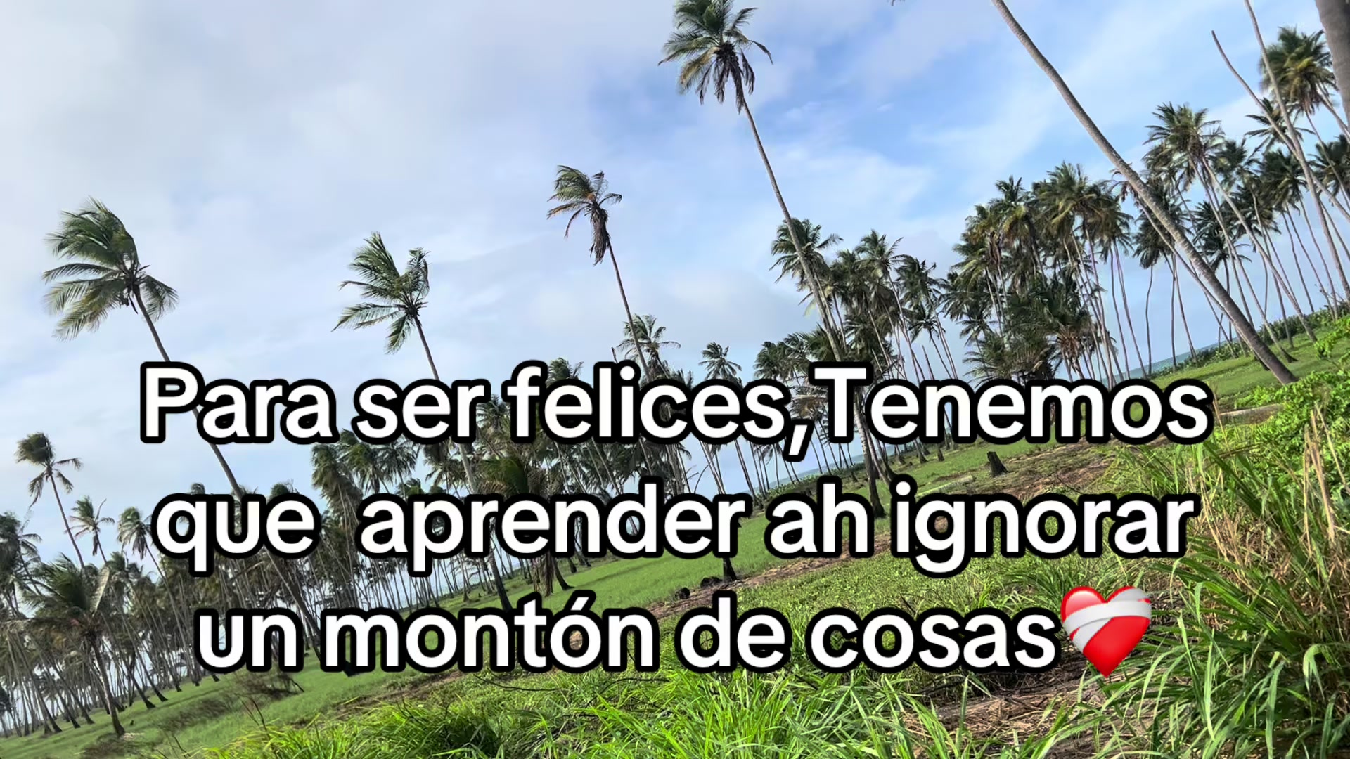 @Wilmary Gonzalez