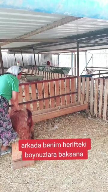 @burçin