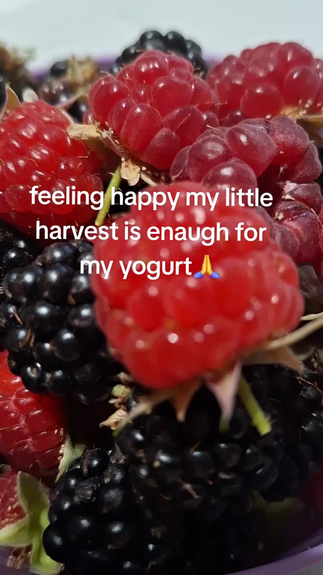 @lolagrams_05