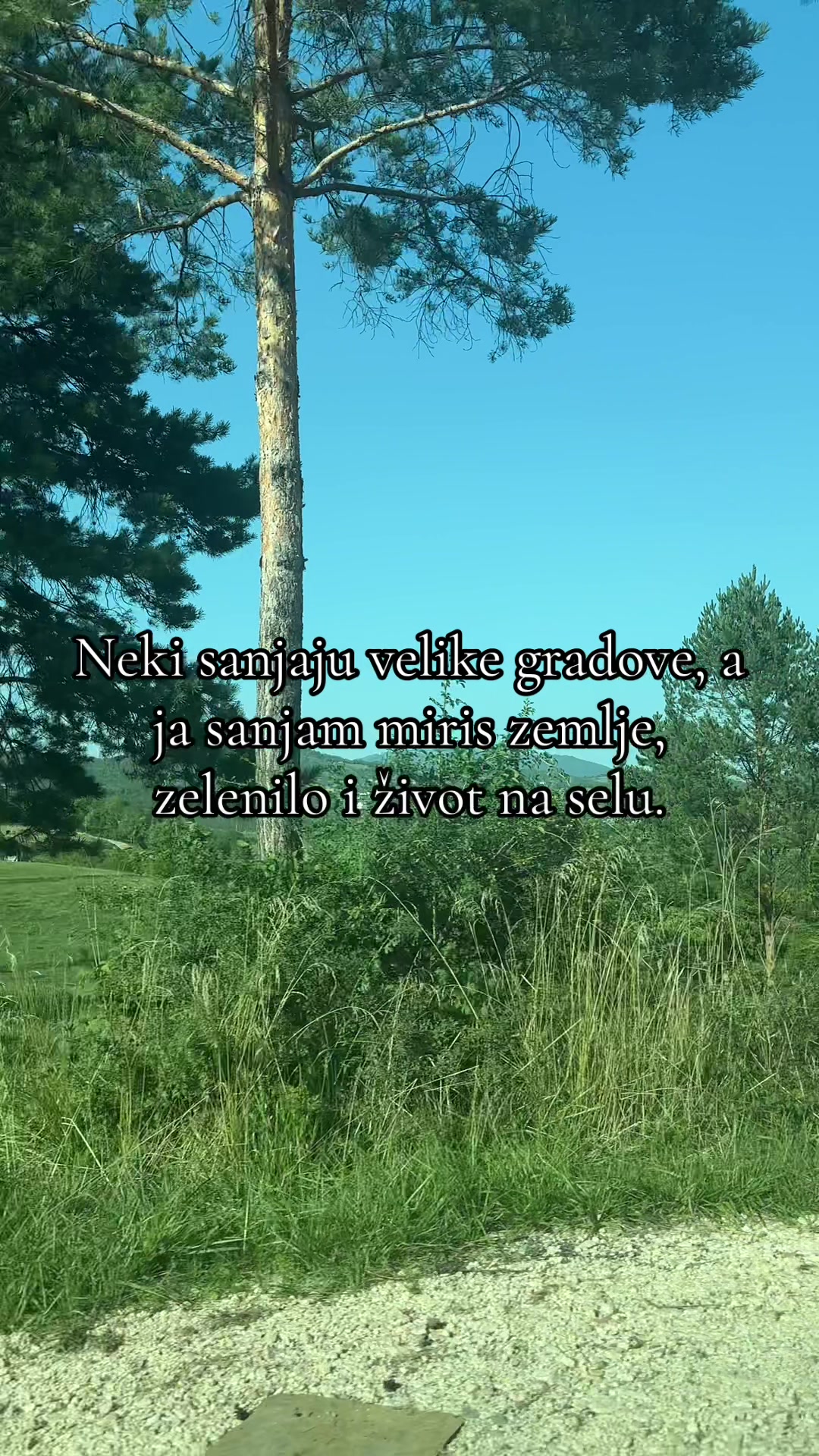 @Amina Muslimovic