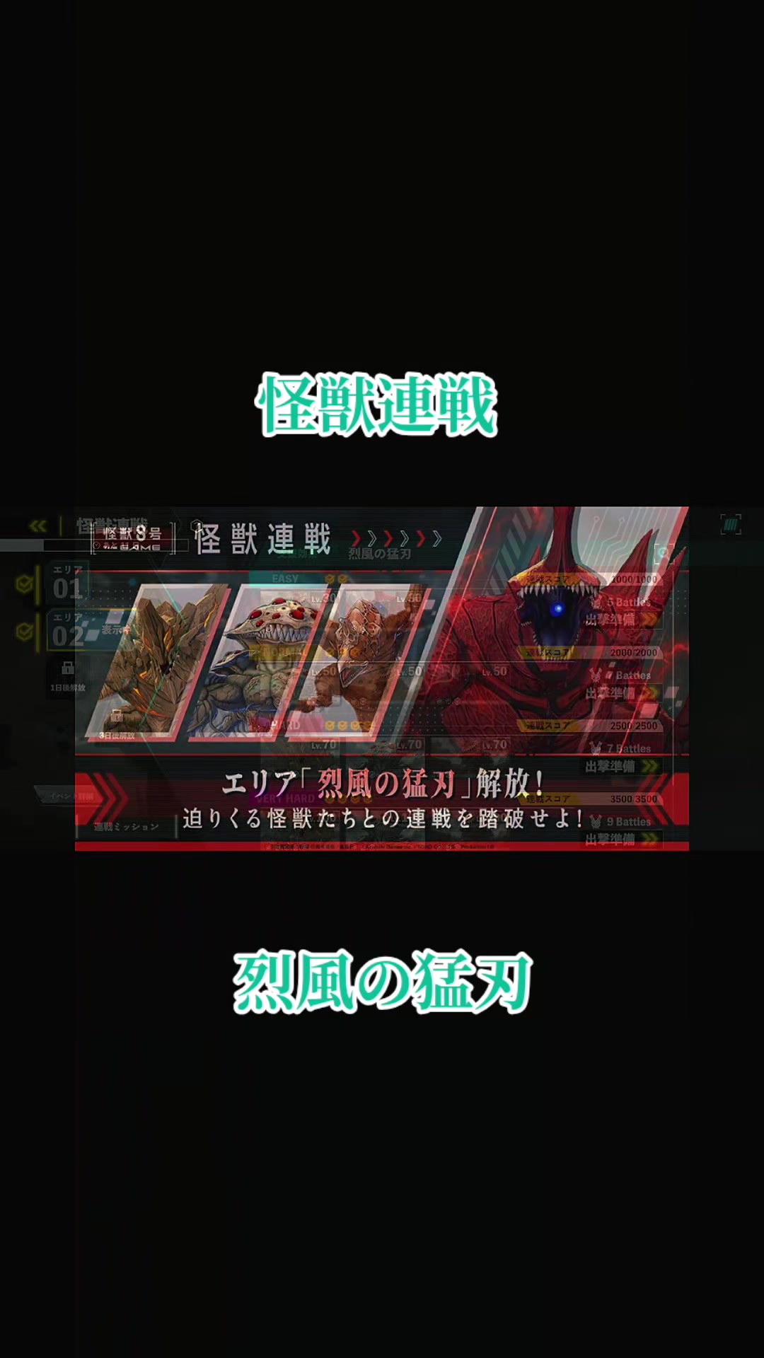@猫