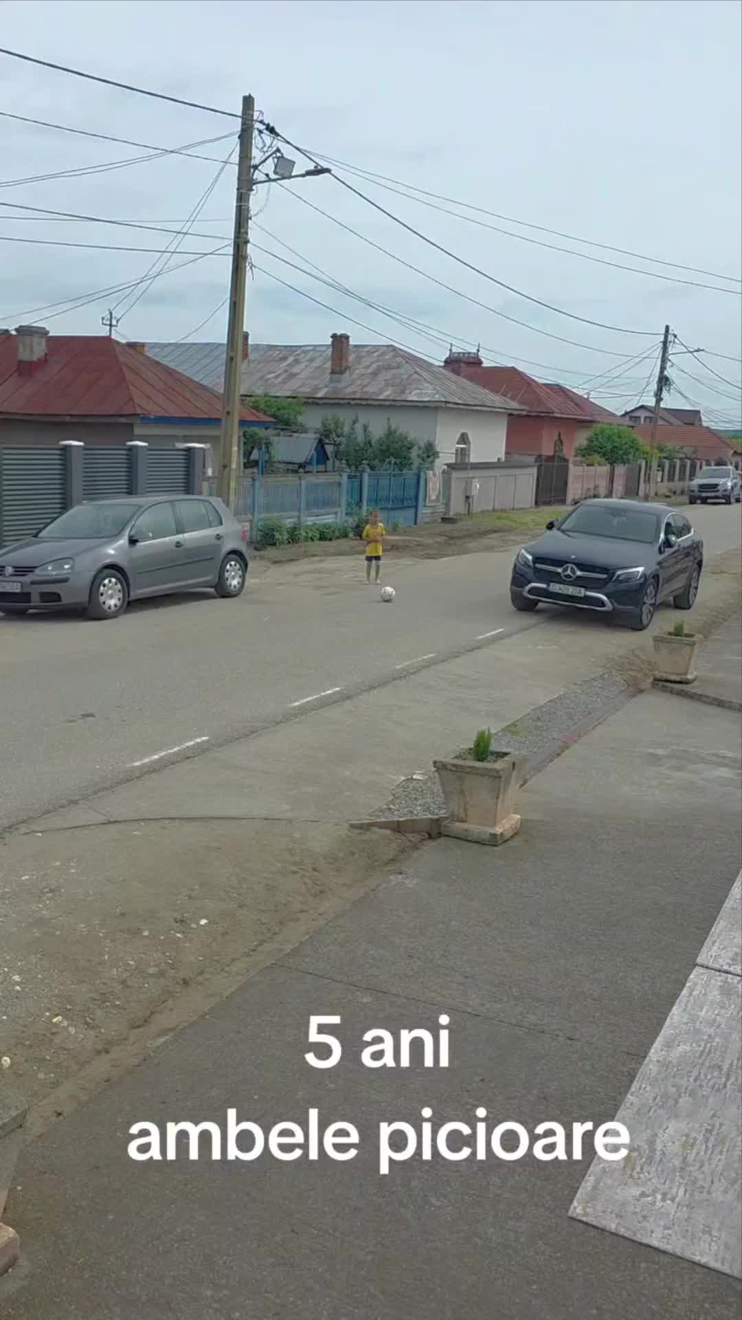 @Zian Leuţul Sudului