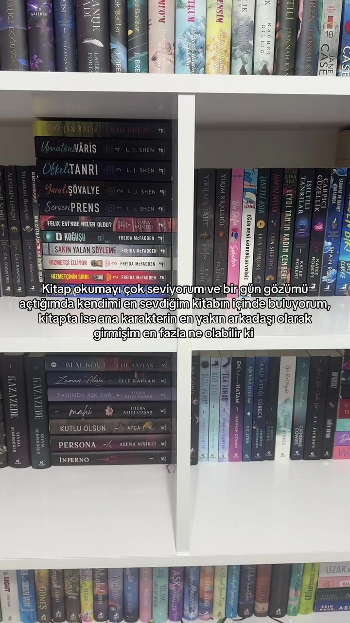 @laviniaabookss