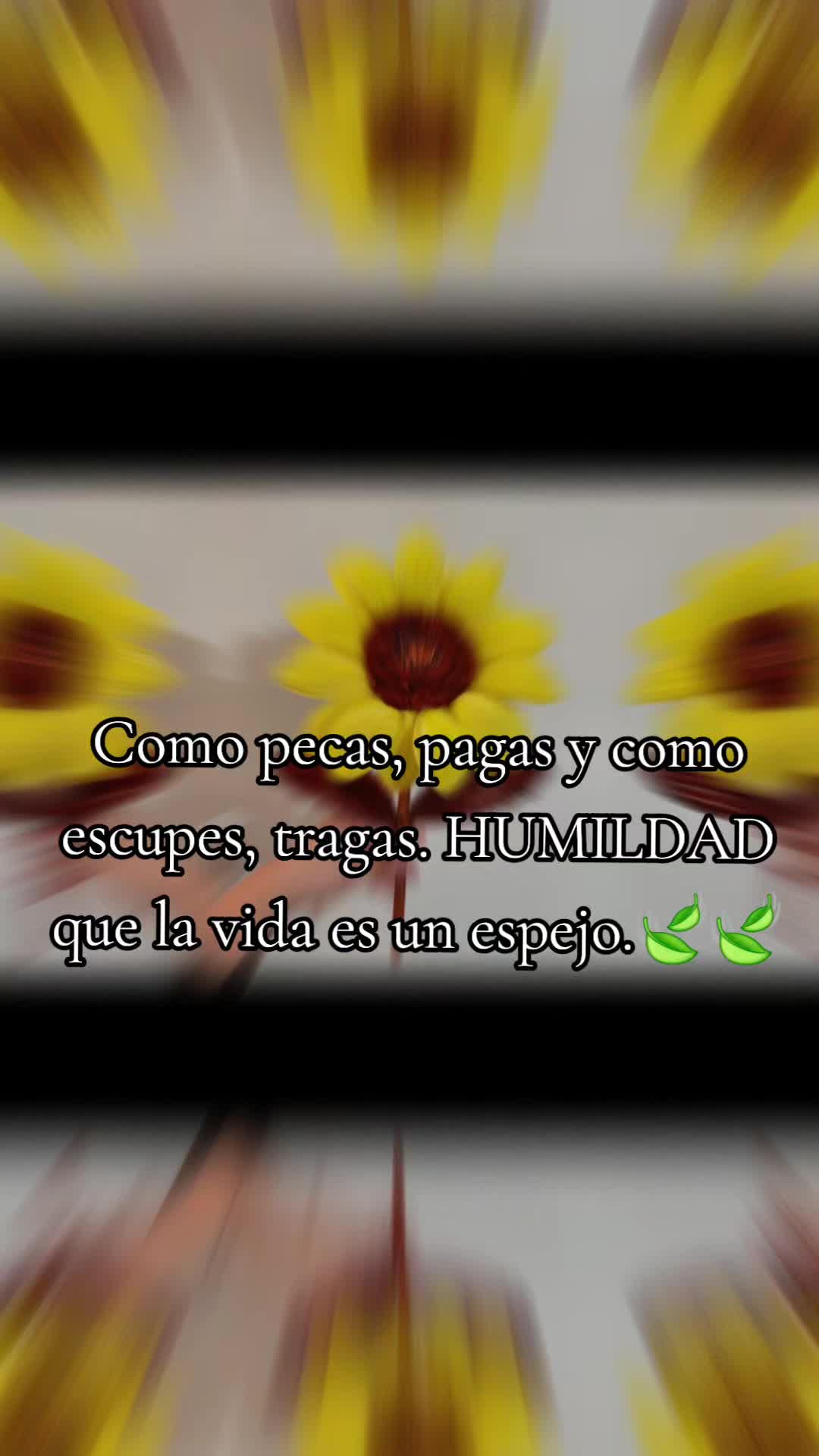 @Grëysïï Däŷänï Rüïz
