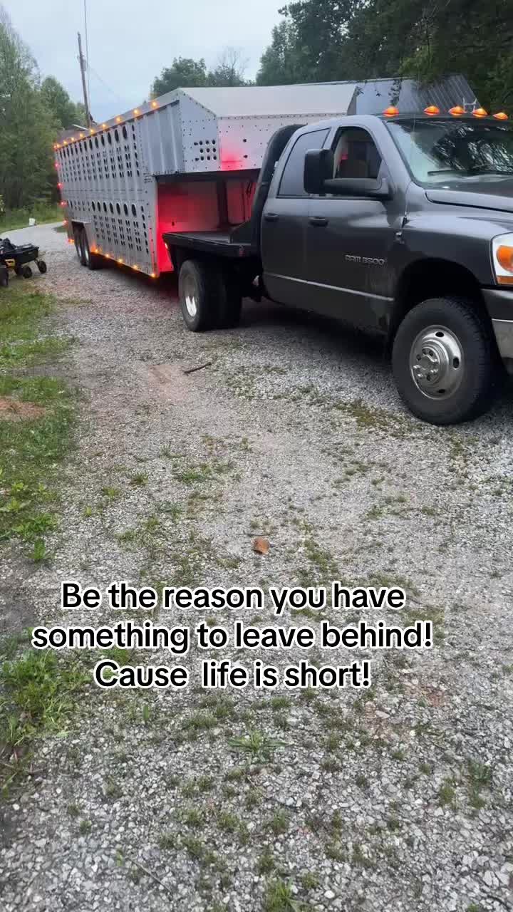 @tripleclivestock