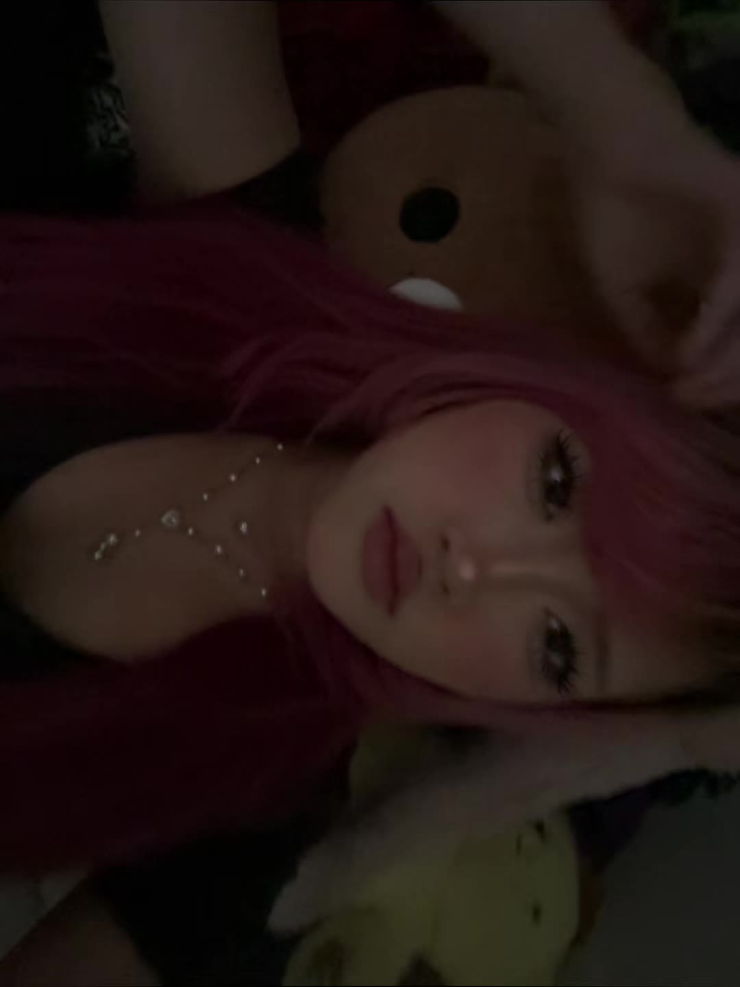 @˖˚ 🐾₊˚