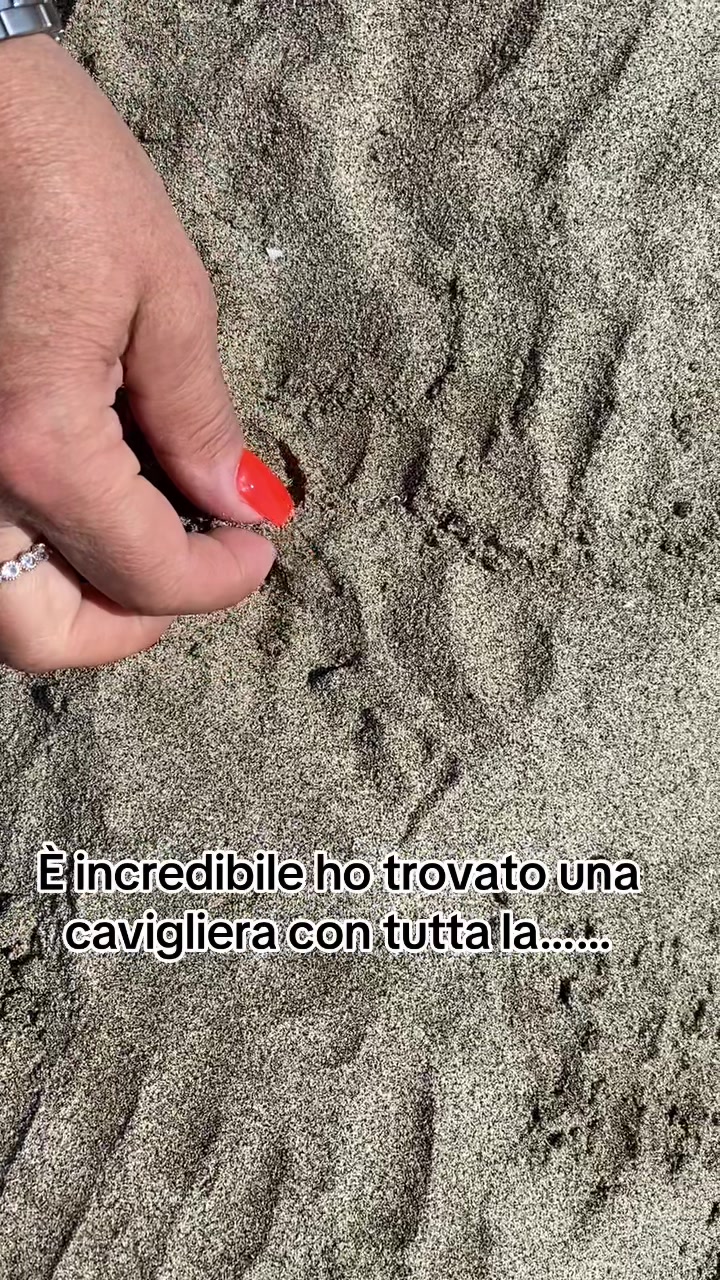 @Lucia10