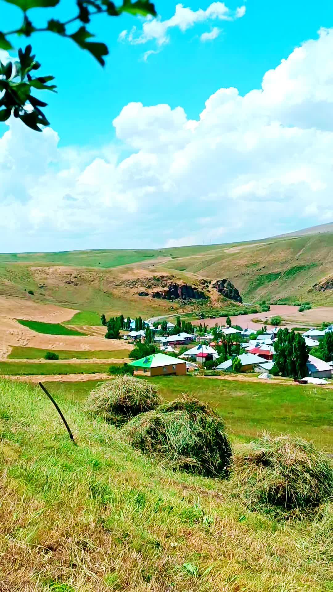@&Ouml;zkan Boz☑️