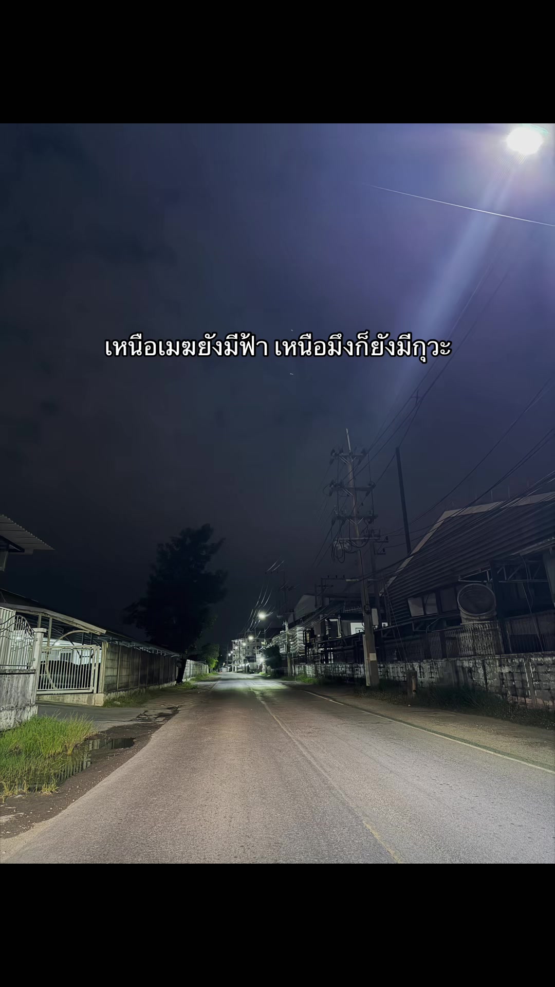 @ชีว๊าสส&lsquo;ส ชวาร็อฟกี้