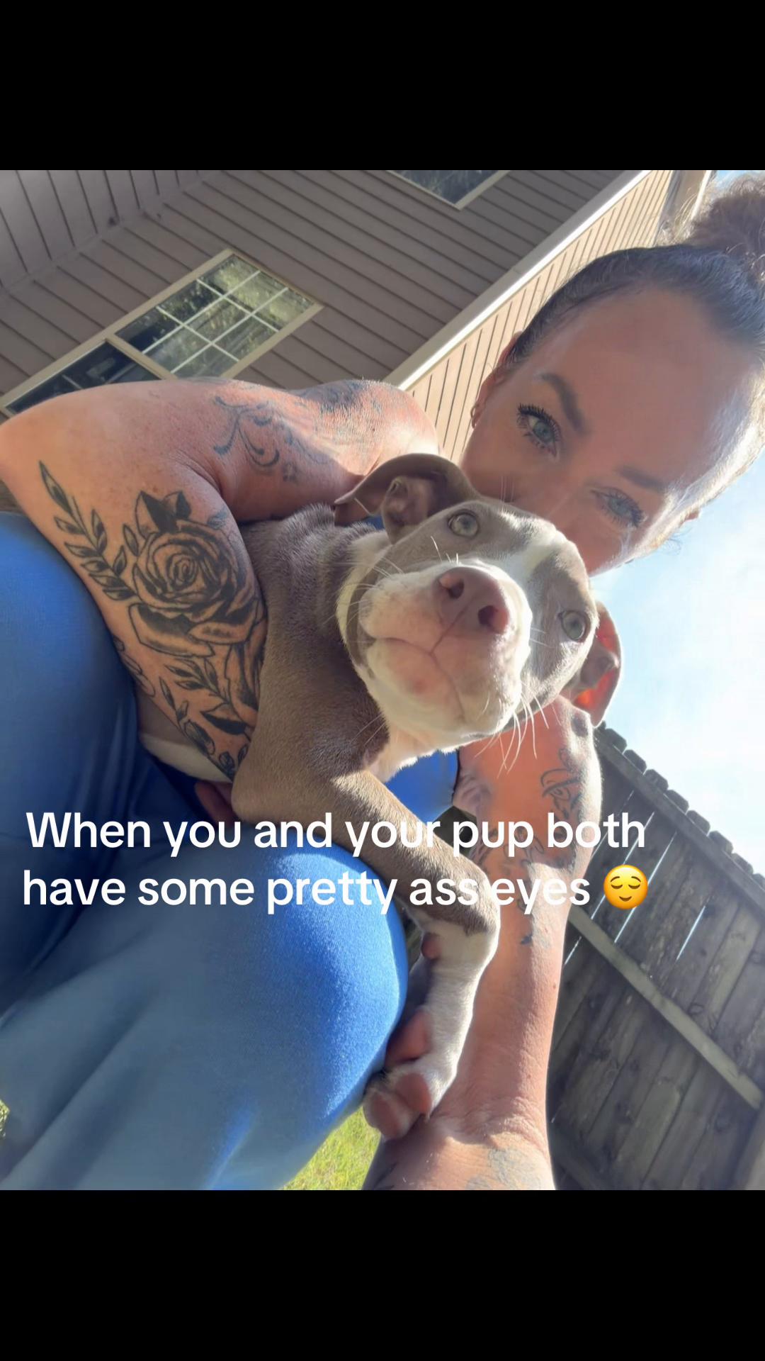 @Tabby