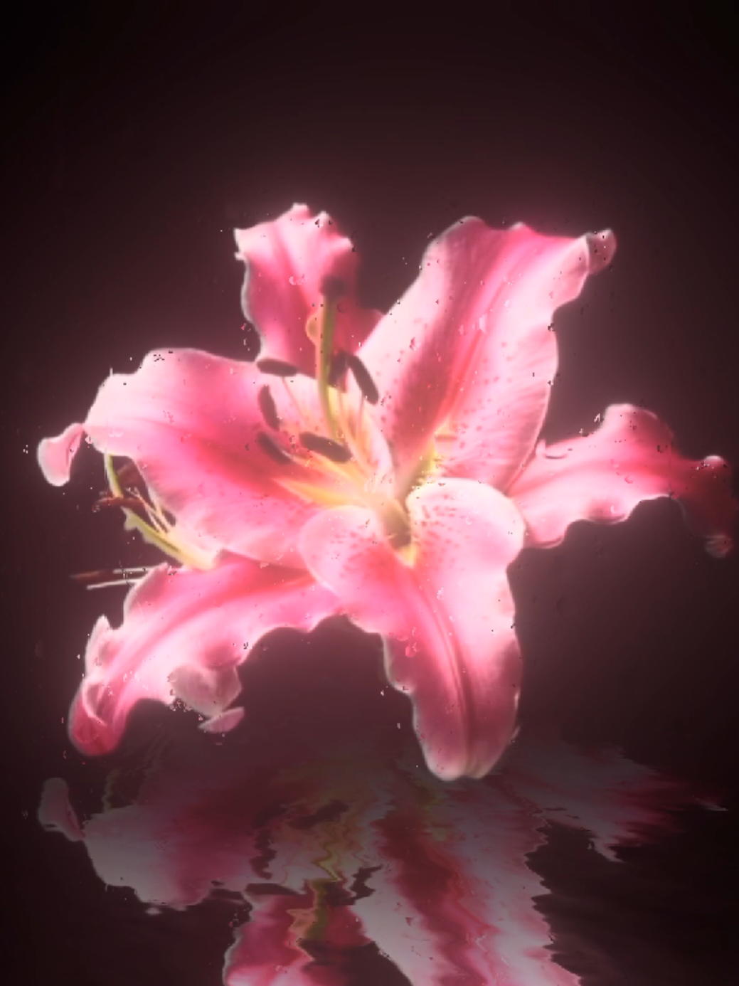 @𝐌𝐔𝐒𝐈𝐂 𝐌𝐄𝐃𝐄𝐑𝐎