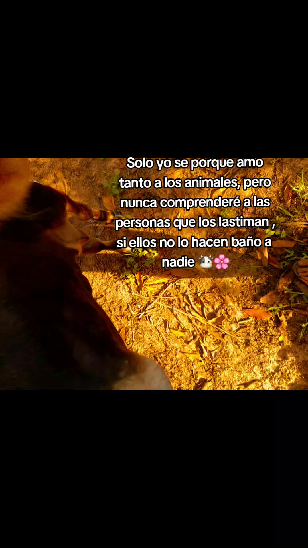 @KESIA🦋
