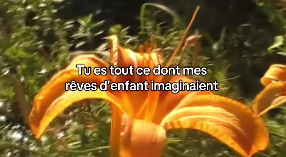 @moony