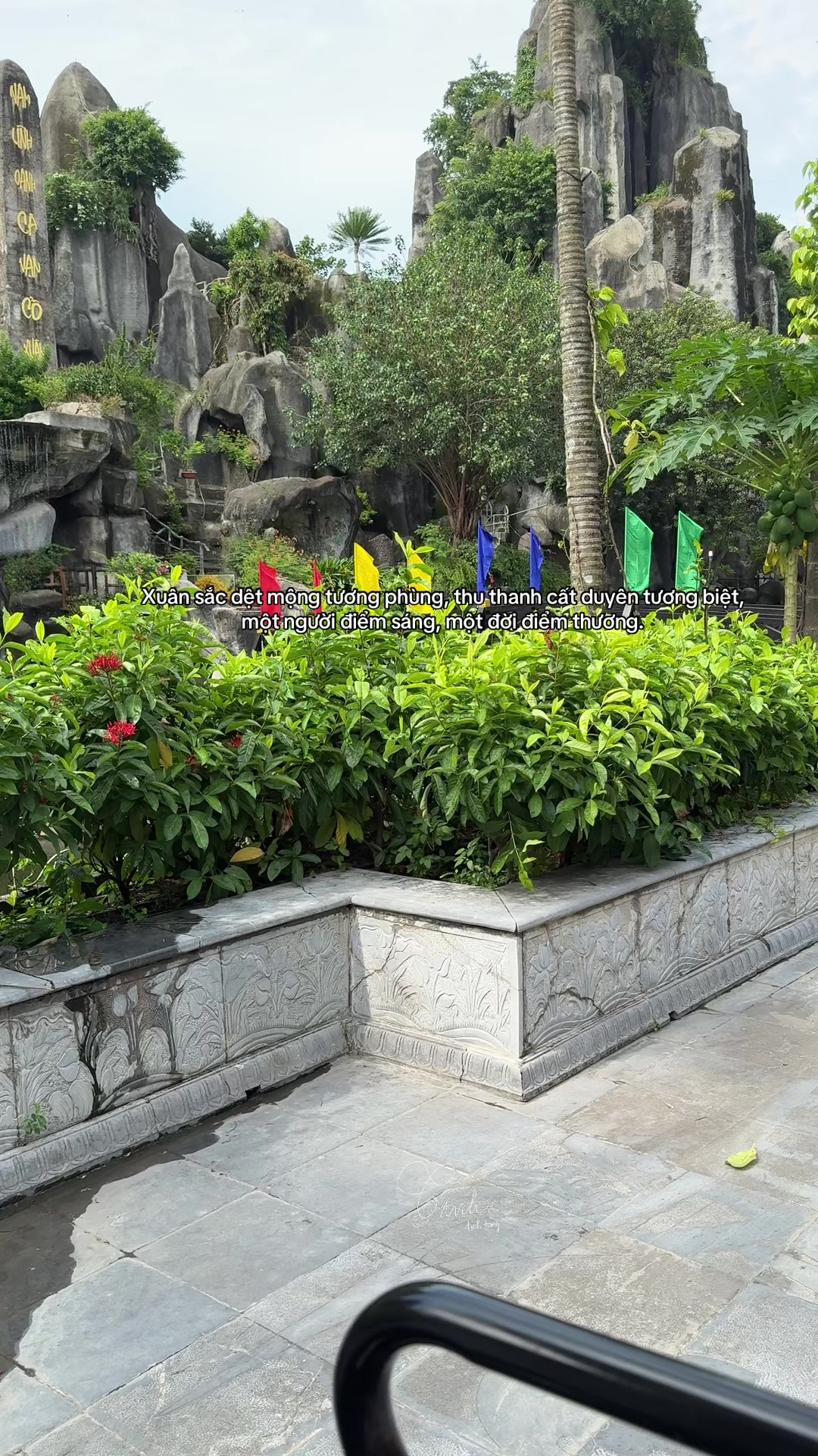 @Reels của T&igrave;nh 🫧