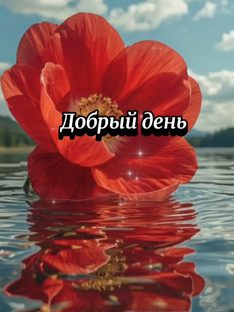 @👑 Svitlana Dann 👑