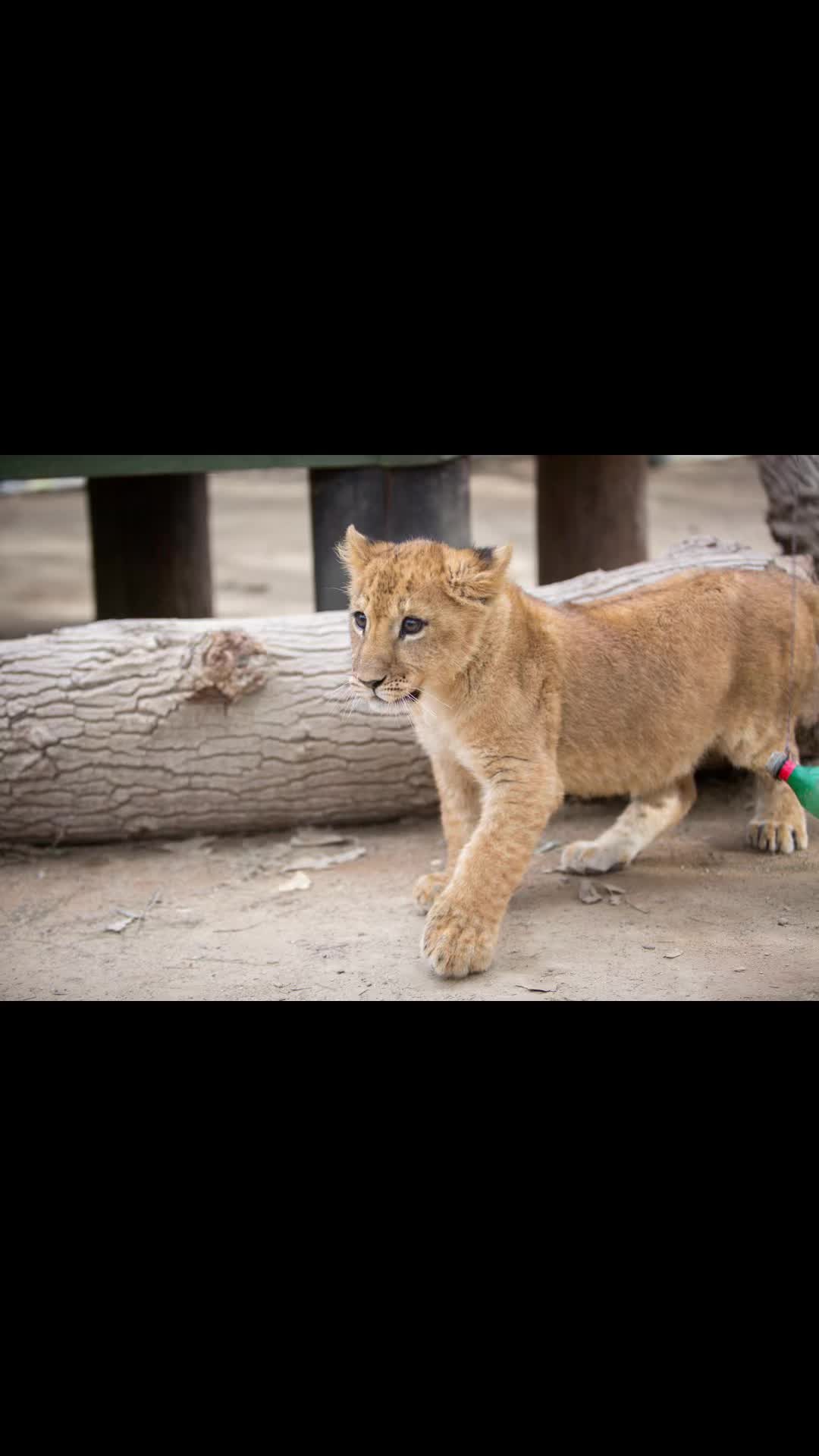 @Cedarhill Animal Sanctuary