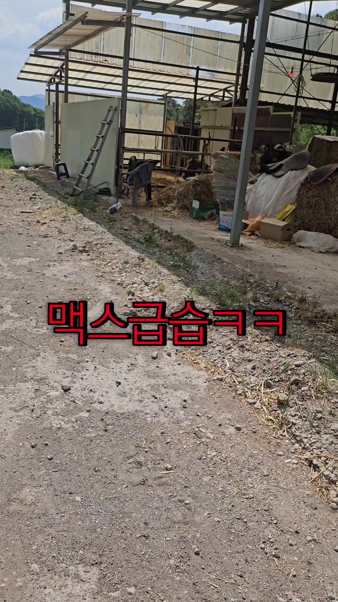 @말타는피부원장🐎김미애🐎