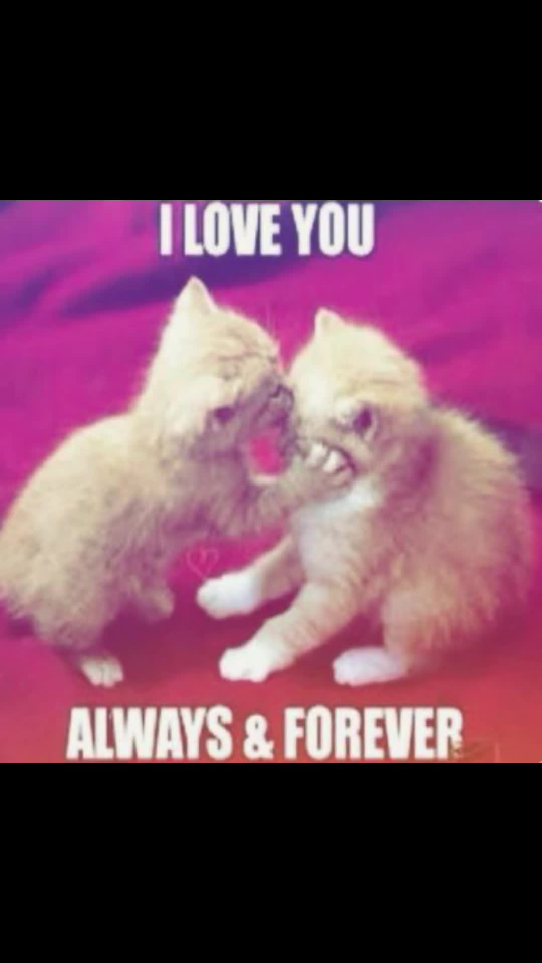 @secretforue