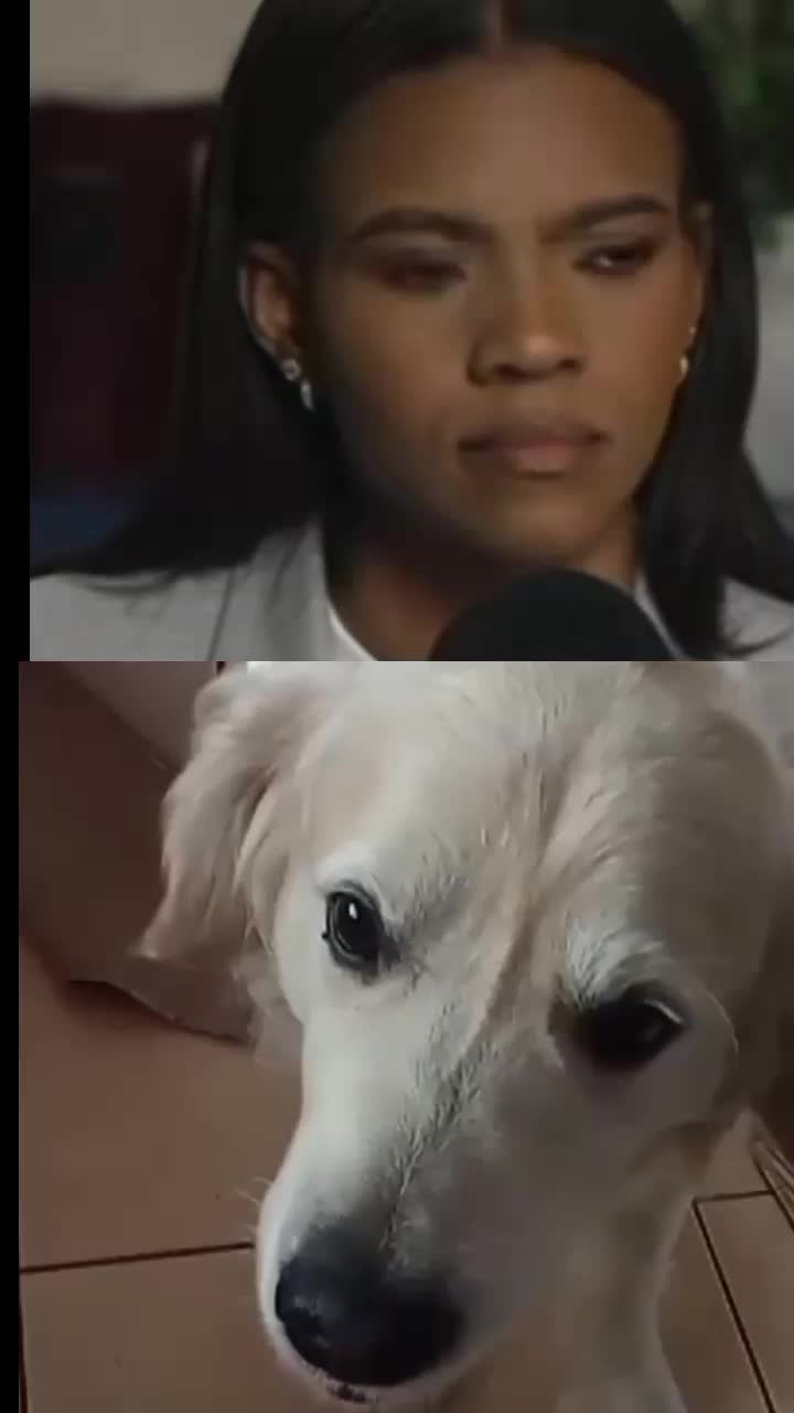 @barneypleasesatirenow