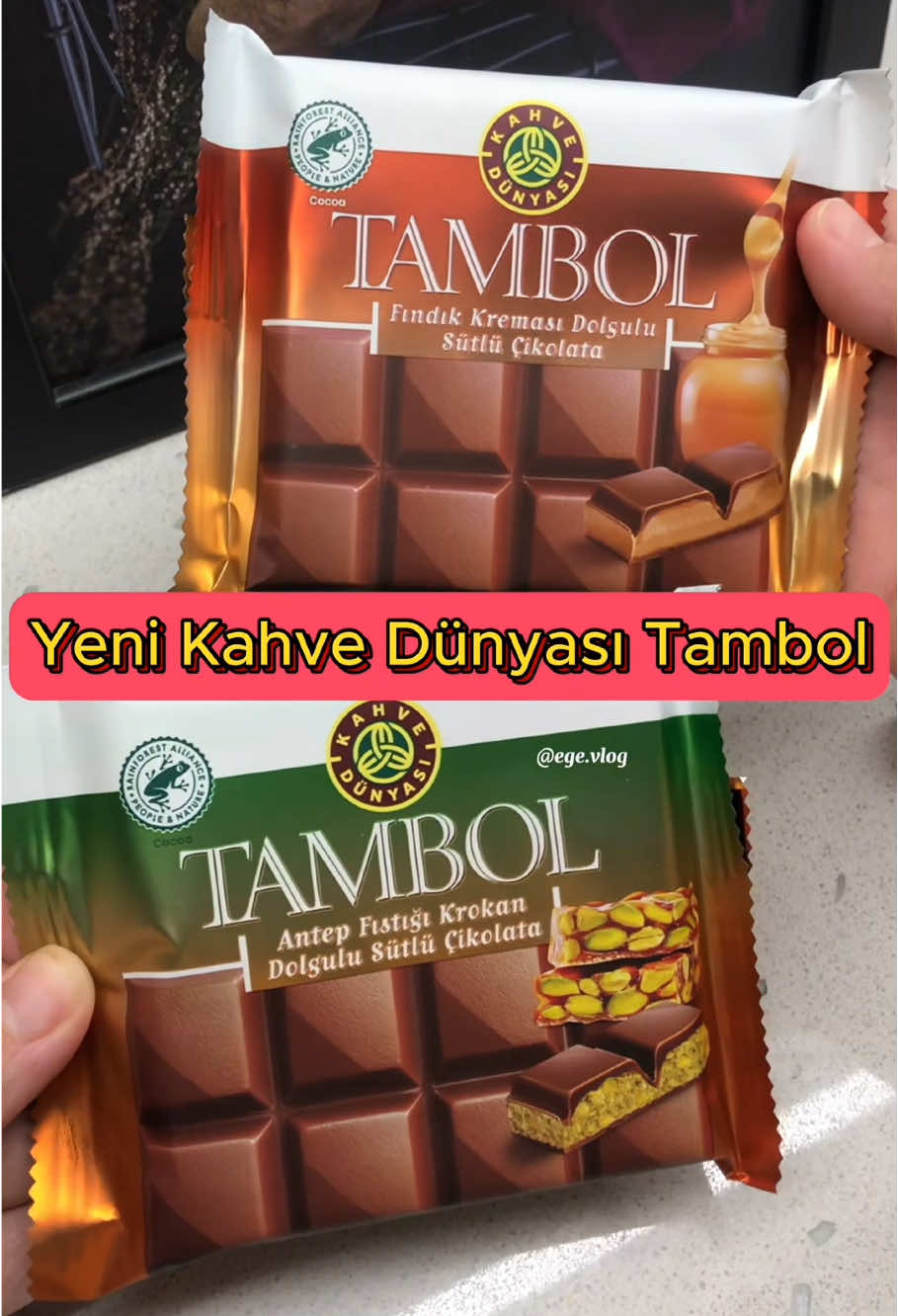 @ege blog