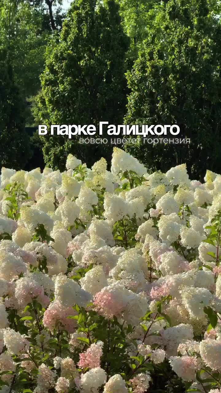 @Первый Южный
