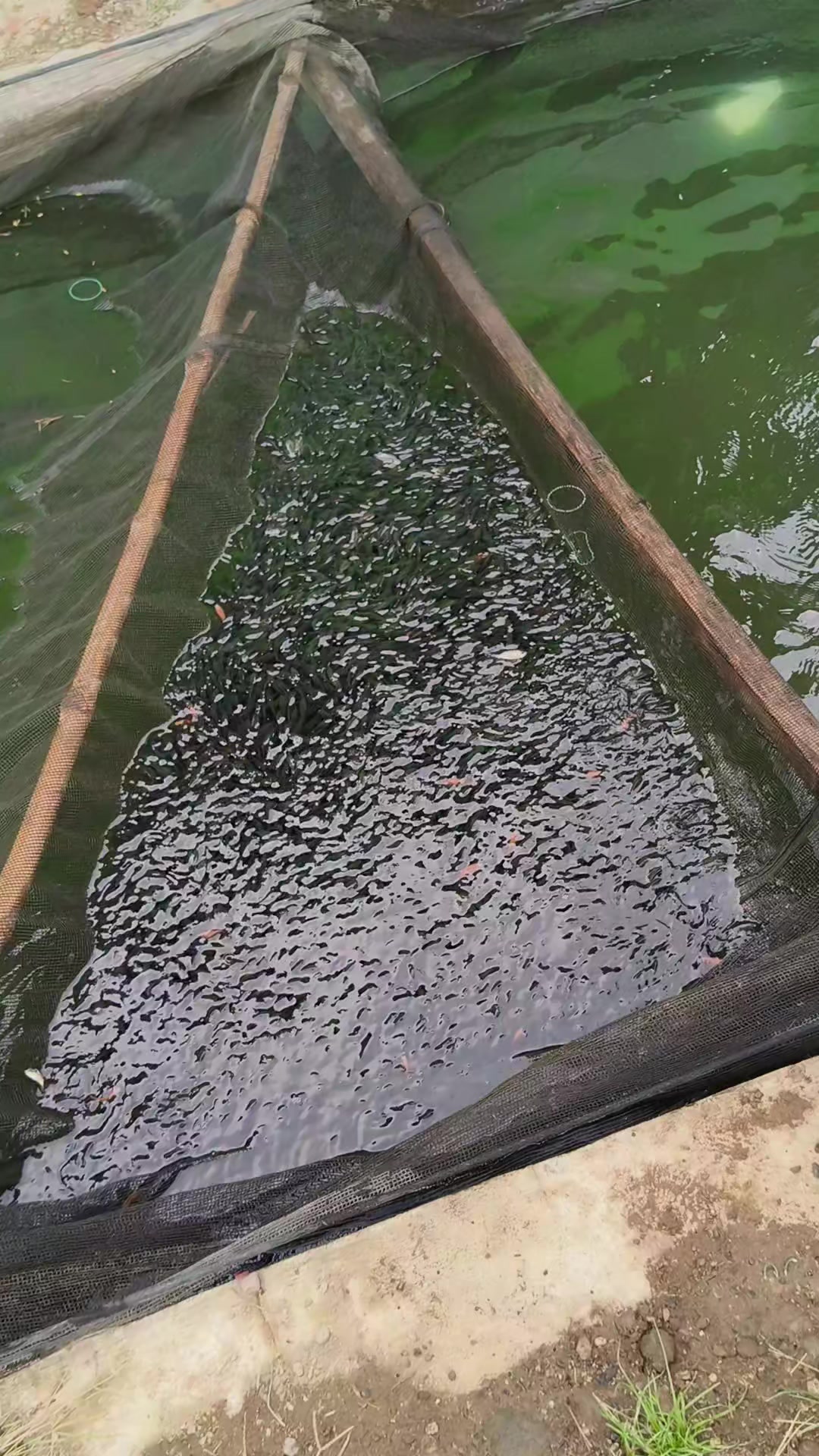 @Rio rikardo