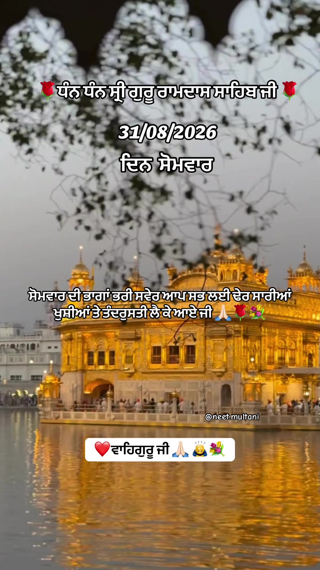 @neet.multani