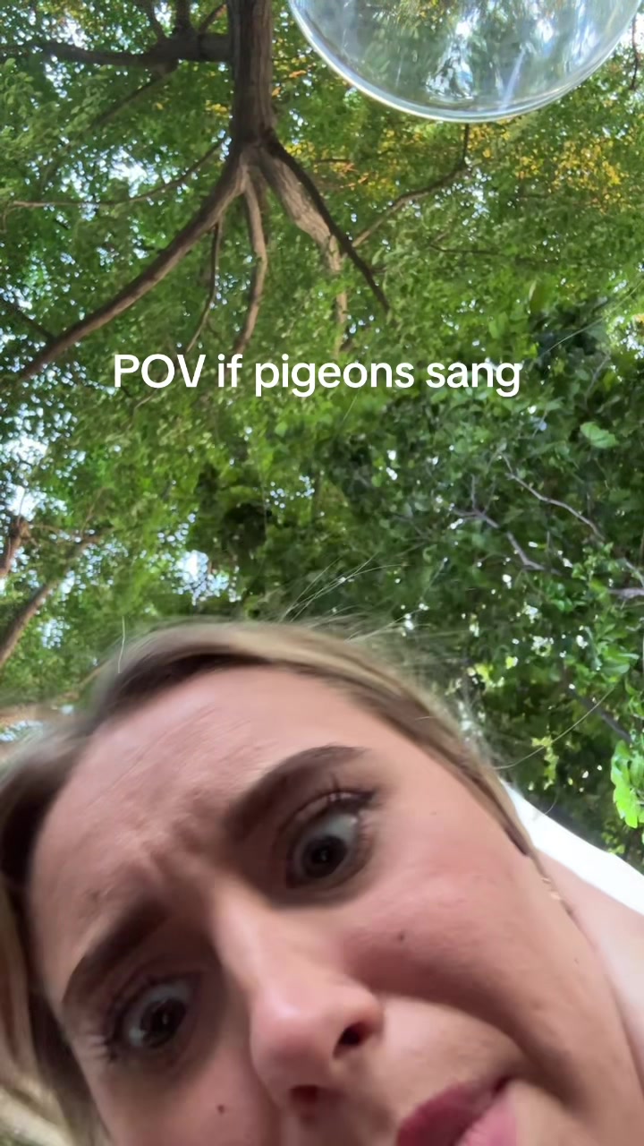 @Lily Elliott