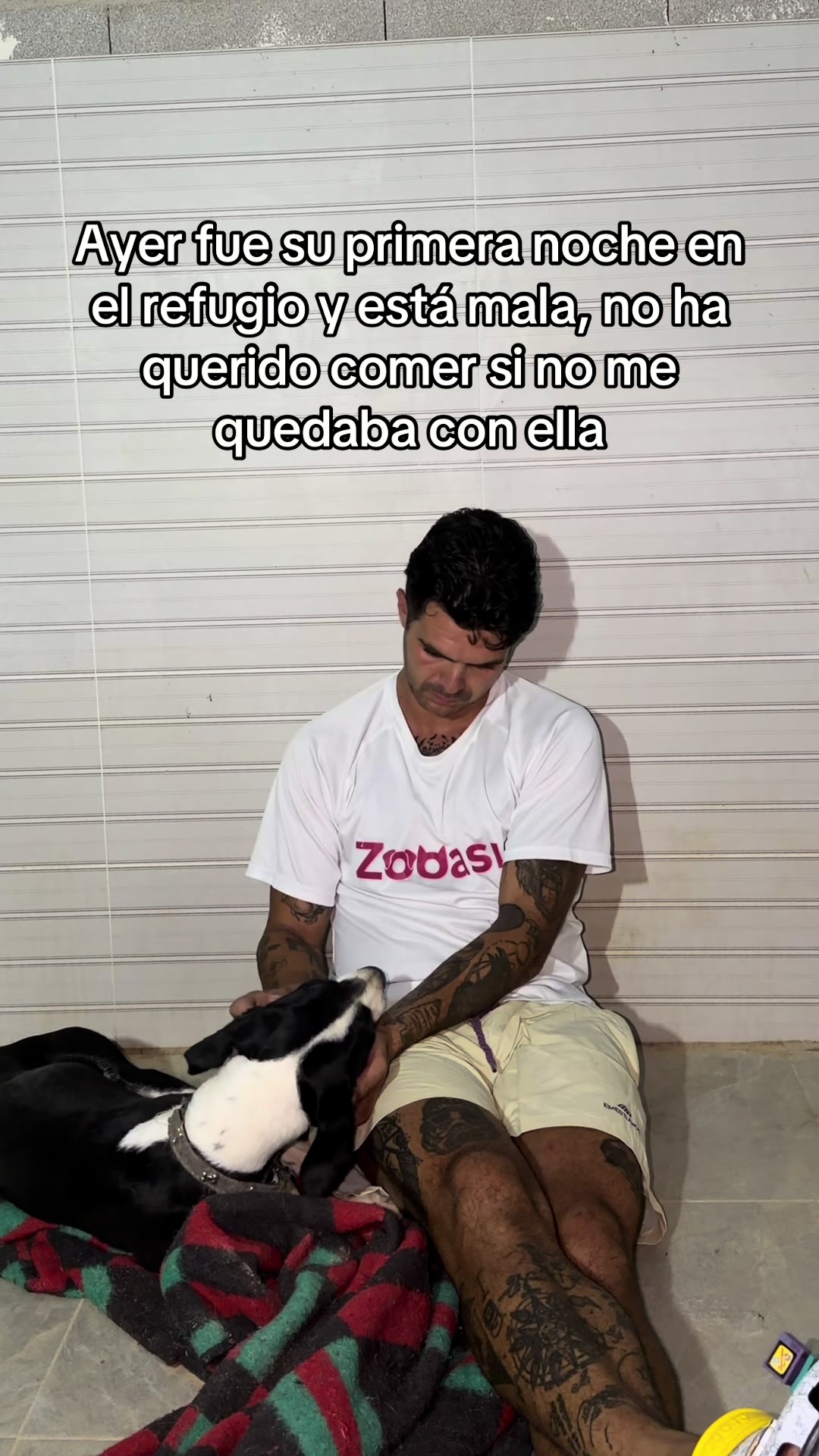 @ecojuanmanuel