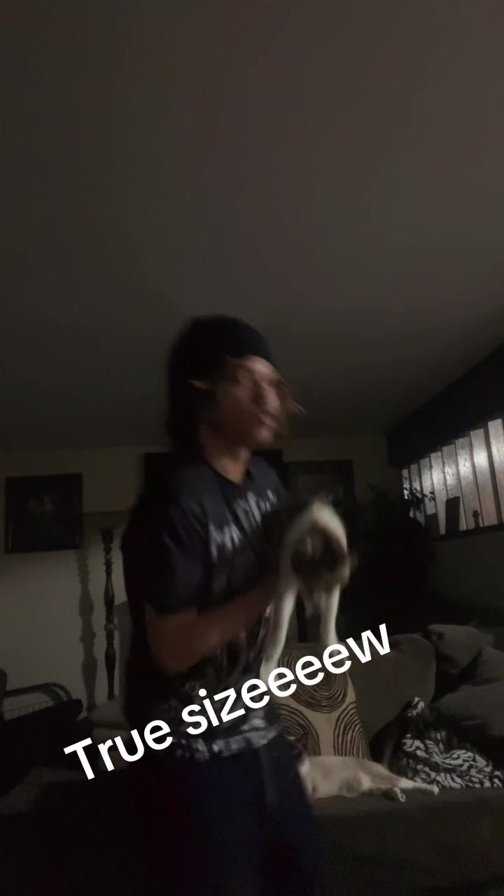@Perxsum