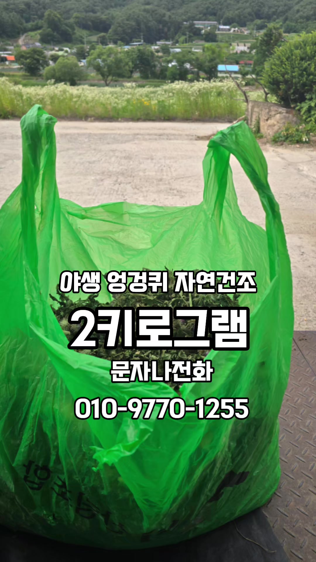 @🔥고물급남자