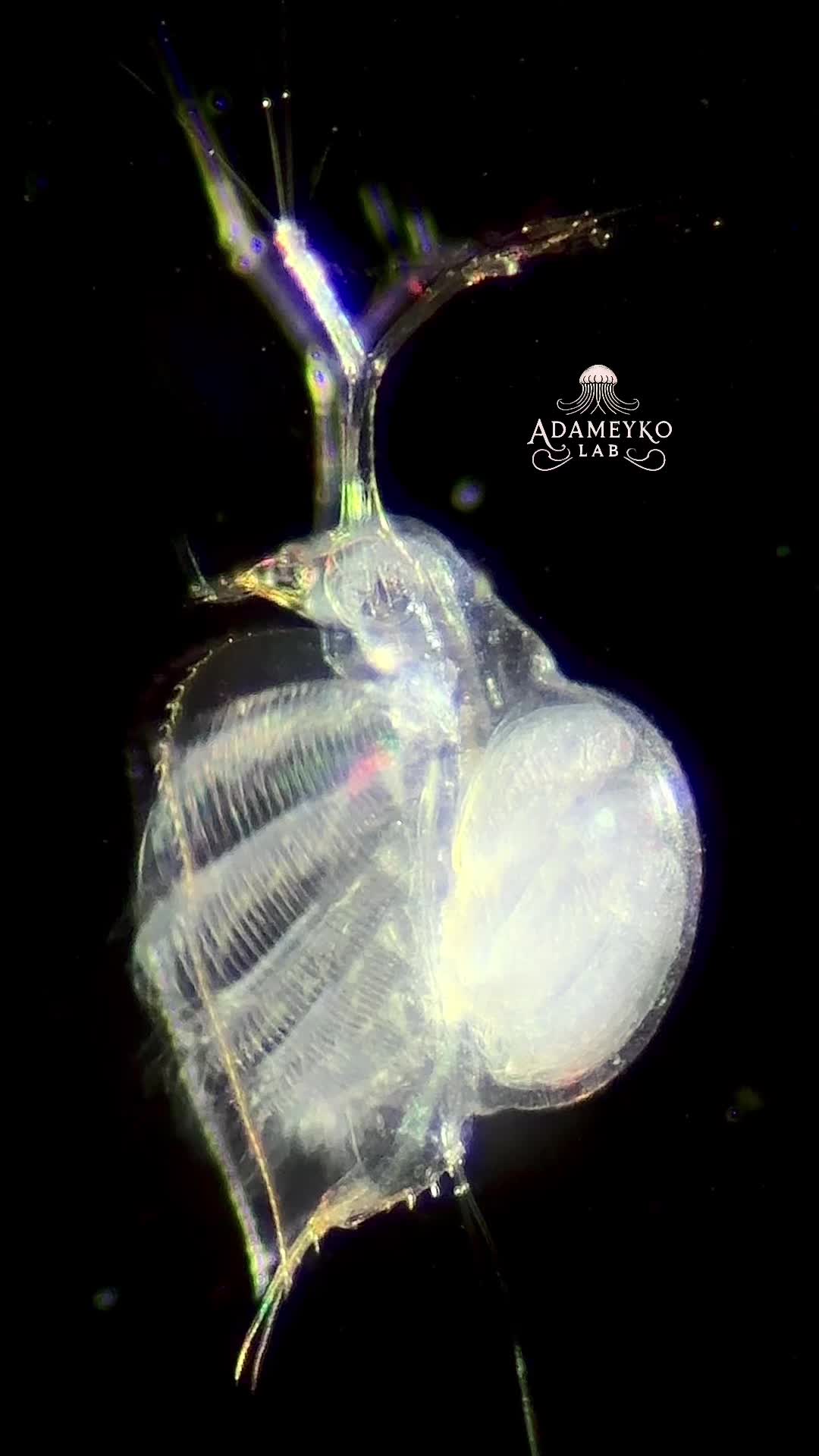 @The_story_of_a_biologist