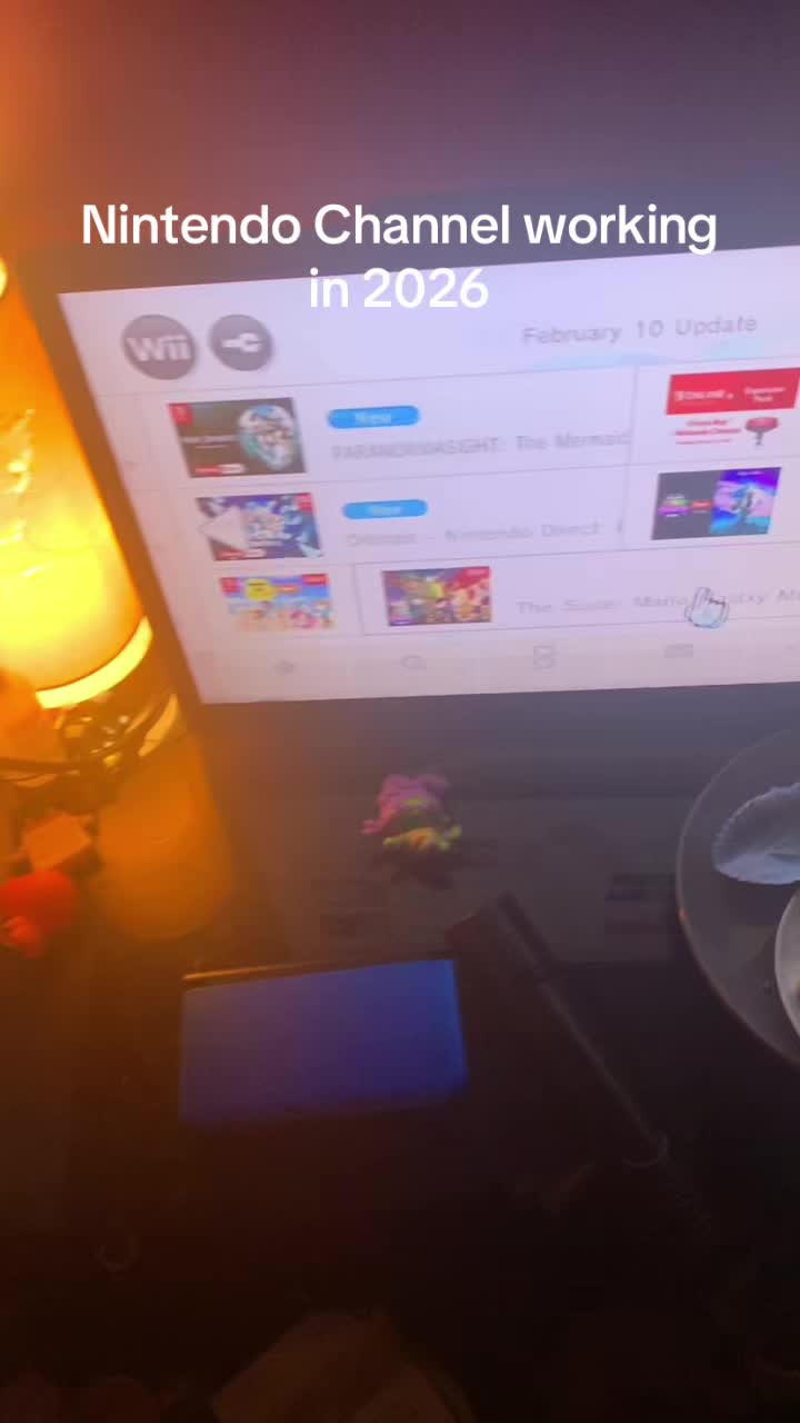 @thewiidudee